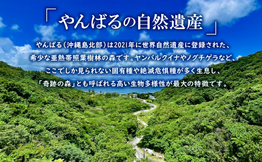 広葉樹 国頭産イタジイの薪 約5kg(1束8枚)【1720373】