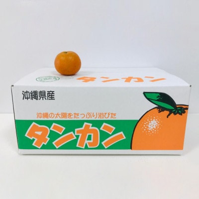 【2027年1月から順次発送】国頭村産 タンカン 3kg やんばるの人気柑橘 濃厚な甘みとコク【1651875】