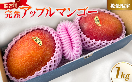 【2026年6月中旬から順次発送】贈答用のアップルマンゴー1kg【配送不可地域：離島】【1601771】