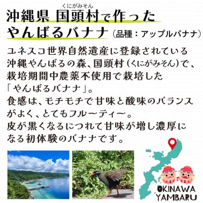 【栽培期間中農薬不使用】やんばるバナナ1.5kg(7〜20本)【1579241】