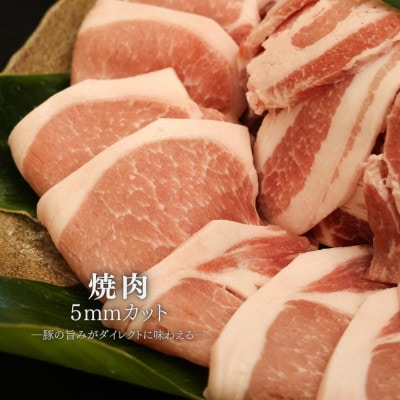 【ふるさと納税限定】くんじゃん豚 食べ比べセット 焼肉・しゃぶしゃぶ 計3.2kg【配送不可地域：離島】【1618652】