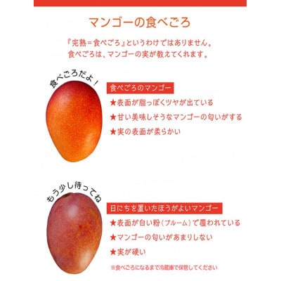 【2026年7月から順次発送・訳あり】燦々マンゴー2.4kg(4〜6玉)【配送不可地域：離島】【1619692】