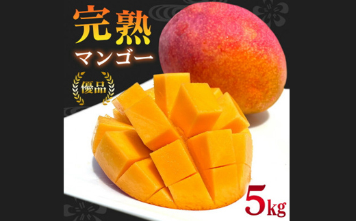 【2026年6月から順次発送】優品アーウィンマンゴー5kg(8〜12玉)【配送不可地域：離島】【1584603】