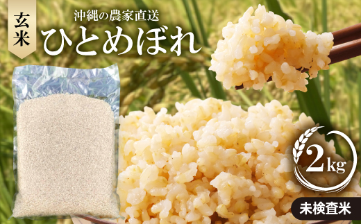 【令和7年産新米】沖縄の農家直送 ひとめぼれ 玄米(栽培期間中農薬不使用)2kg【1636996】