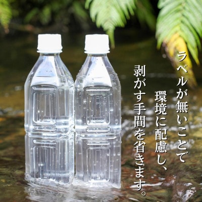 国頭村のおいしい水 ラベルレスボトル500ml×24本 やんばるの美味しい水 環境にやさしいエコ仕様【1732490】