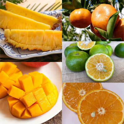 【発送月固定定期便】南国プレミアムフルーツ定期便(マンゴー&パイナップル2種&柑橘3種)全6回【配送不可地域：離島】【4081234】