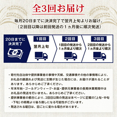 【毎月定期便】オリオン ザ・プレミアム(350ml×24本)全3回【4062057】