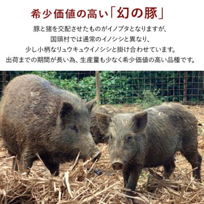 国頭イノブタ 肩ロース(スライス) 500g【配送不可地域：離島】【1580270】