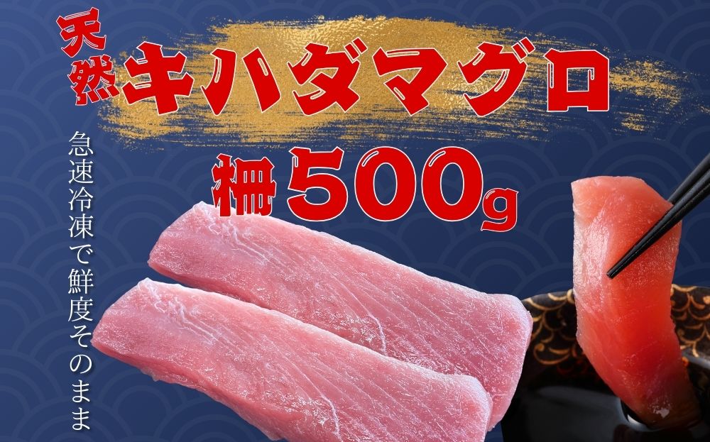 天然キハダマグロ(500ｇ) 【冷凍/柵】～海人からの贈り物～