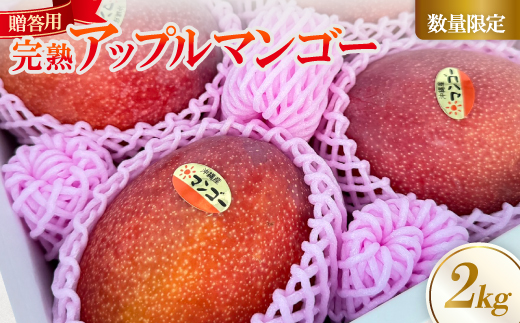 【2026年6月中旬から順次発送】贈答用のアップルマンゴー2kg【配送不可地域：離島】【1601772】