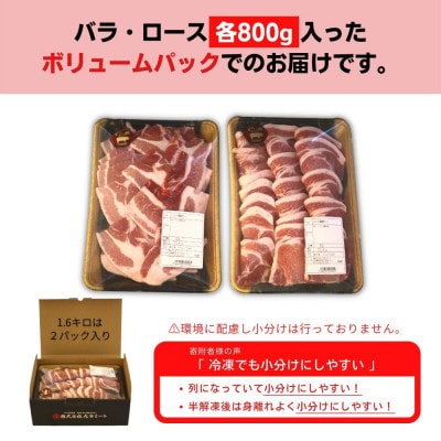 【毎月定期便】くんじゃん豚 焼肉セット(バラ・ロース)計9.6kg全6回【配送不可地域：離島】【4067077】