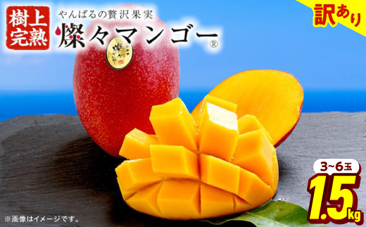 【2026年7月から順次発送・訳あり】燦々マンゴー1.5kg(3〜6玉)【配送不可地域：離島】【1619685】
