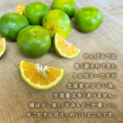 ã2026幎10æé ããé æ¬¡çºéãå°å
ã§æãããŠããåšæ¥ã¿ãã ã¿ã«ã¬ãšãŒ5kgã1618423ã