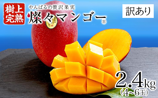 【2025年発送・訳あり】燦々マンゴー2.4kg(4〜6玉)【配送不可地域：離島】【1619692】