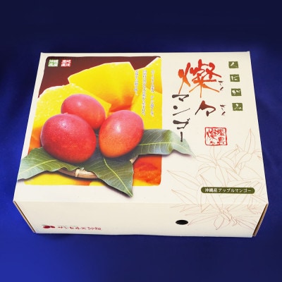 【2026年7月から順次発送・優品】燦々マンゴー1.5kg(3〜6玉)【配送不可地域：離島】【1619778】