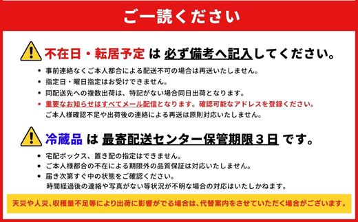 【先行予約/2025年発送】プレミアム沖縄フルーツセット(糸満市/国頭村 共通返礼品)