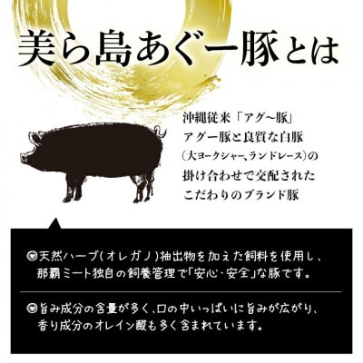 美ら島あぐー ロース250g バラ250g すき焼きセット計500g【配送不可地域：離島】【1620062】