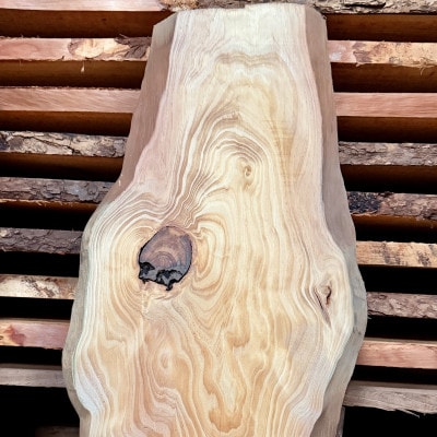 åžå°åçš®ãççæŸãäžææ¿(å¹
çŽ30ã40cmÃé·ãçŽ180cmÃåã¿çŽ2cm)å€©ç¶æšã1720676ã