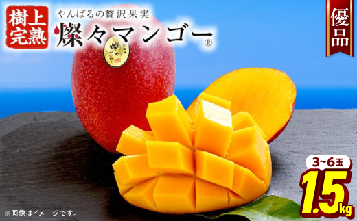 【2026年7月から順次発送・優品】燦々マンゴー1.5kg(3〜6玉)【配送不可地域：離島】【1619778】