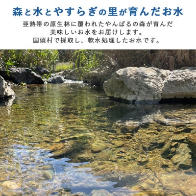 蝗ス鬆ュ譚代ョ縺翫>縺励>豌エ 繧繧薙ー繧九ョ譽ョ縺ィ豬キ 2000mlテ6譛ャ縲1732491縲