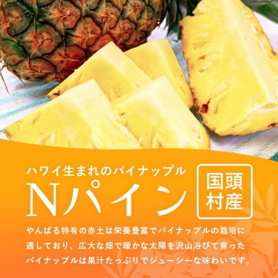 ã2026幎7æããé æ¬¡çºéããã€ãããã«ã®çé Nãã€ã³4çãé
éäžå¯å°åïŒé¢å³¶ãã1584608ã