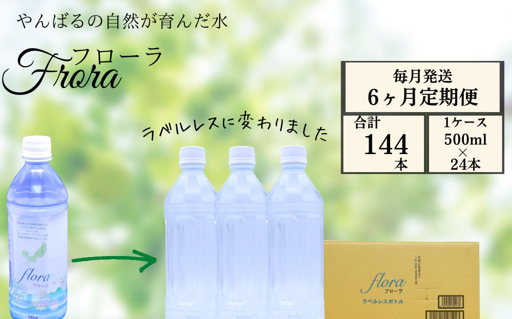 【6ヶ月定期便】やんばるの水 Flora【フローラ】500ml 24本　【ラベルレス/軟水】		