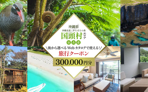 沖縄ツアー 沖縄本島最北やんばる国頭村 後から選べるWebカタログ旅行クーポン(300,000円分)【1684165】