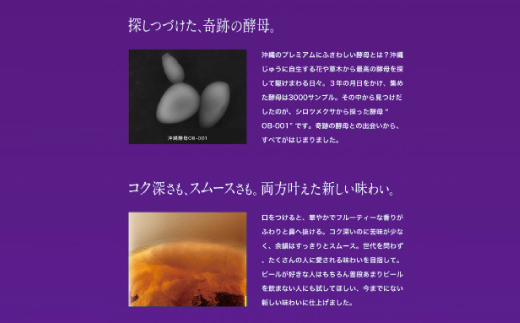 【沖縄県共通返礼品・オリオンビール】オリオン ザ・プレミアム(350ml×12本)【1577595】