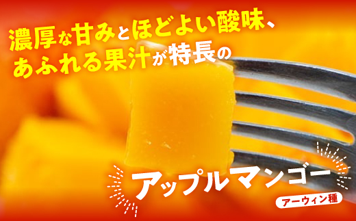【2026年7月から順次発送・優品】燦々マンゴー2.0kg(4〜6玉)【配送不可地域：離島】【1619777】