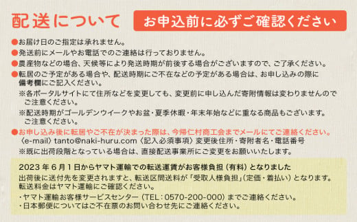 今帰仁マンゴーA級2kg以上【先行予約】【2026年6月中旬～8月中旬頃発送】生産者直送