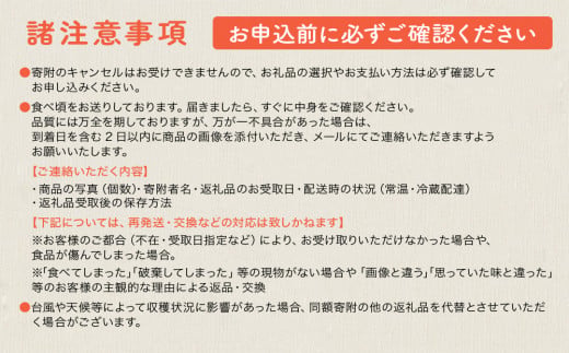 今帰仁マンゴー特選2kg以上【先行予約】【2026年6月中旬～8月中旬頃発送】生産者直送
