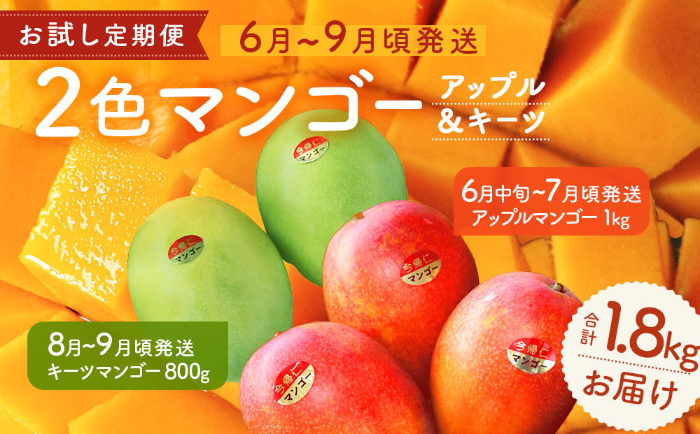 【お試し定期便】今帰仁2色マンゴー（赤・緑）【先行予約】【2026年　赤：6月中旬～7月頃　緑：８月～9月頃発送】生産者直送