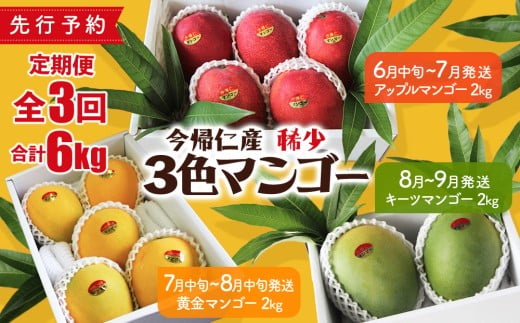 【定期便】稀少3色マンゴー（赤・黄・緑）【2026年　赤：6月中旬～7月頃　黄：7月中旬～8月中旬頃　緑：8月～9月頃発送】生産者直送