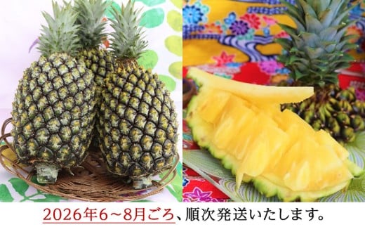 【2026年6～8月頃配送】今帰仁産パインアップル（ゴールドバレル）1.8kg以上　1～2玉　先行予約