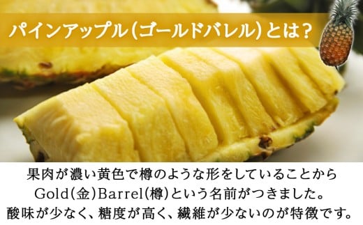 【2026年6～8月頃配送】今帰仁産パインアップル（ゴールドバレル）1.8kg以上　1～2玉　先行予約