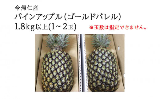 【2026年6～8月頃配送】今帰仁産パインアップル（ゴールドバレル）1.8kg以上　1～2玉　先行予約