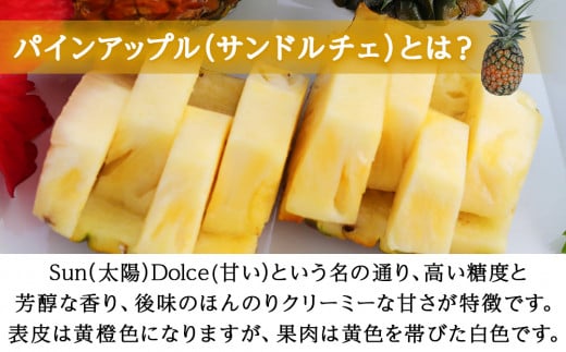 【2026年7月～8月頃配送】今帰仁産パインアップル（サンドルチェ）2～3玉