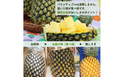 【定期便　限定100セット】今帰仁産パインアップル3種味比べセット【2026年6月・7月・8月　3回配送】先行予約