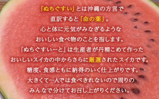 【JAおきなわ】厳選すいか！ぬちぐすいーと　大玉７kg以上【2026年4月～5月頃発送】先行予約