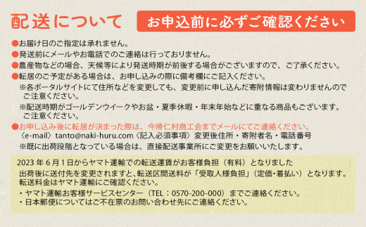 【JAおきなわ】厳選すいか！ぬちぐすいーと　大玉７kg以上【2026年4月～5月頃発送】先行予約