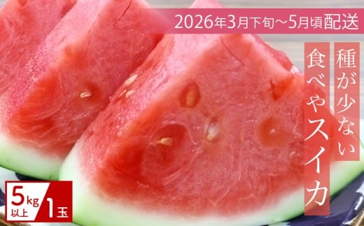 【（有）今帰仁すいか】種が少ない食べやスイカ　5kg【2026年3月下旬～5月頃発送】