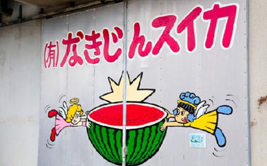 【（有）今帰仁すいか】種が少ない食べやスイカ　5kg【2026年3月下旬～5月頃発送】