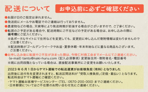 【（有）今帰仁すいか】種が少ない食べやスイカ　5kg【2026年3月下旬～5月頃発送】