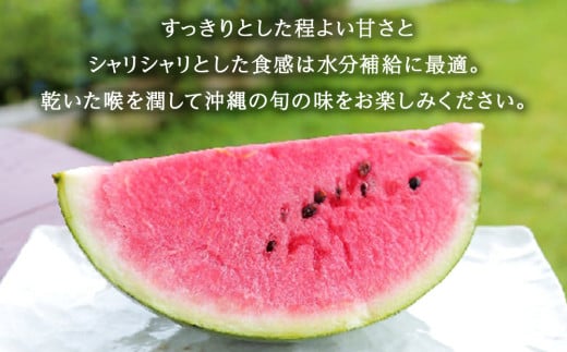 【（有）今帰仁すいか】春のスイカ　4.5kg【2026年3月下旬～5月頃発送】