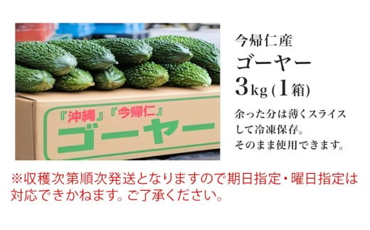 今帰仁ゴーヤー3kg【10月～4月頃お届け】