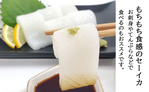 まんぷく海人セット（シャコ貝・ソデイカ・アーサー）各2パック