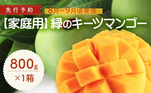 【家庭用】緑のキーツマンゴー800g【2026年8月～9月頃発送】 先行予約