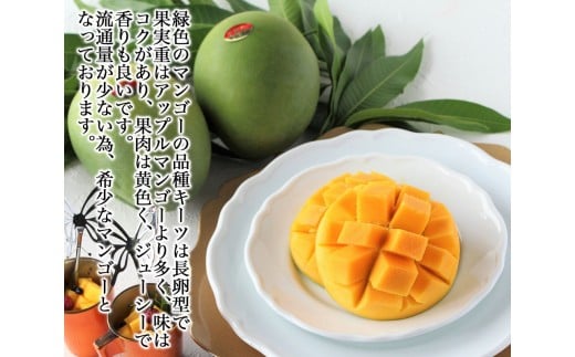 【家庭用】緑のキーツマンゴー800g【2026年8月～9月頃発送】 先行予約