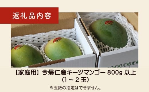【家庭用】緑のキーツマンゴー800g【2026年8月～9月頃発送】 先行予約