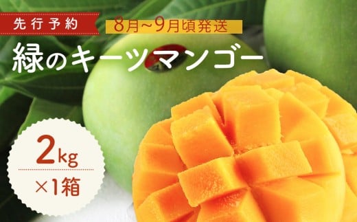 緑のキーツマンゴー2kg【2026年8月～9月頃発送】生産者直送　先行予約